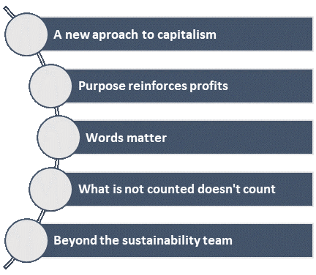 From Sustainability to Purpose: Lessons Learnt
